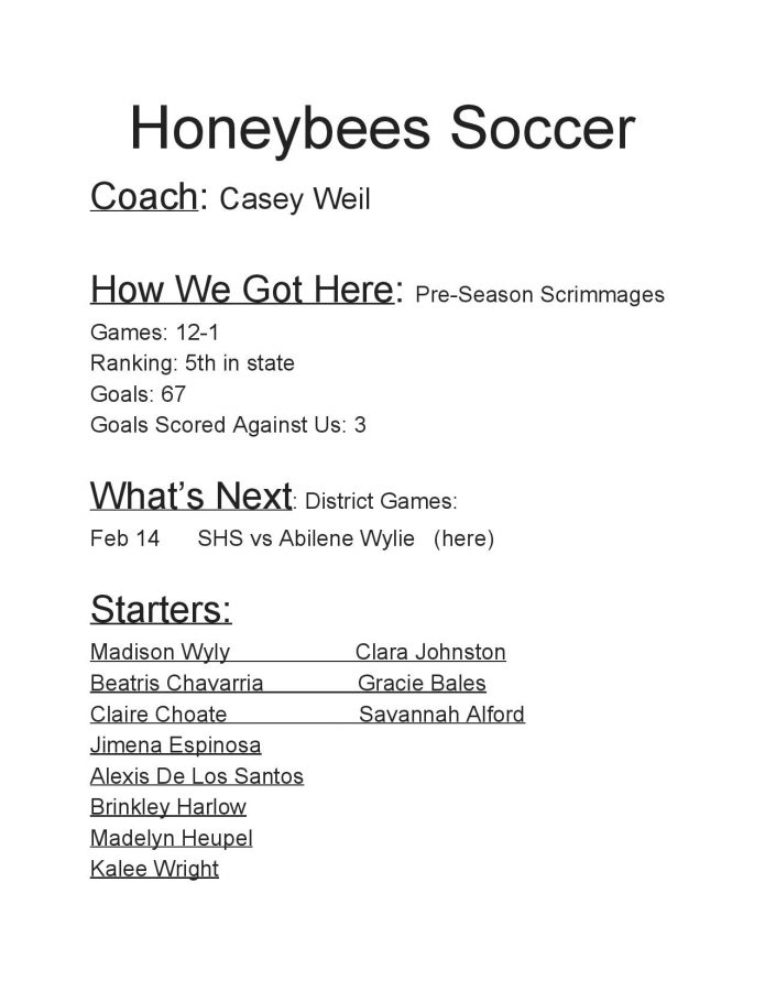 Honeybees Soccer Stats