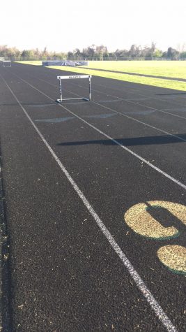 The heat pours down on the hot track, waiting for the runners to place their spikes on the turf.