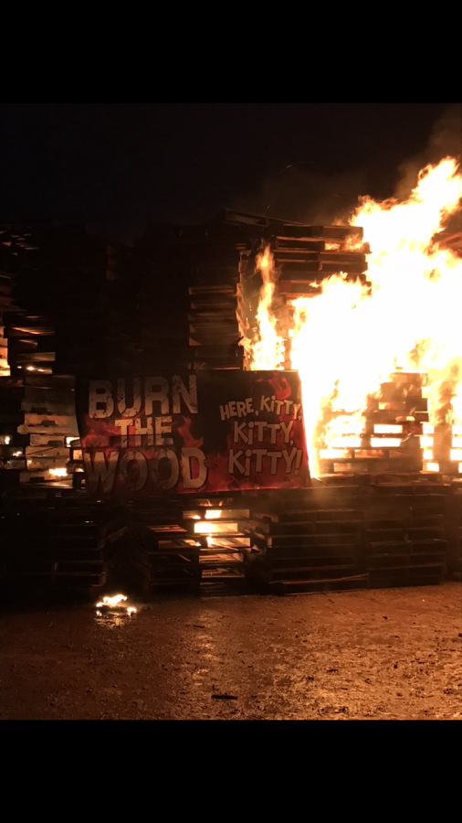 Video and Pictures: Burn the Wood