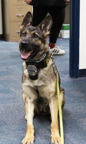 Ixi takes a break in the high school office after a full day of drug investigation. 
