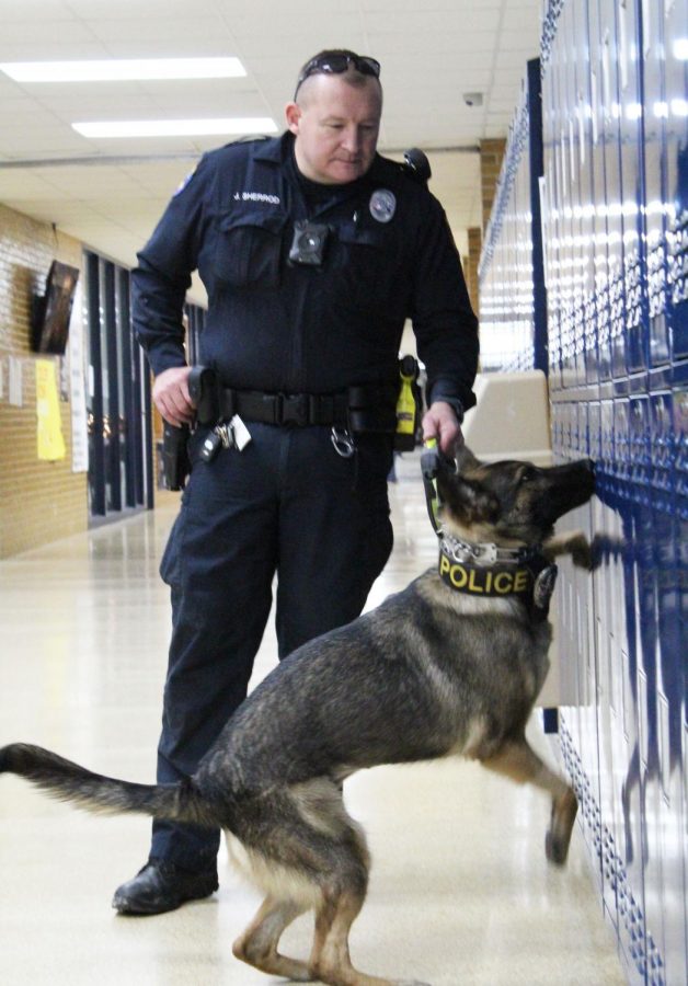 Left to Right: Joe Sherrod, Ixi. 
Ixi, the SISD drug dog, sniffs lockers in the main hallway of the high school during an actual drug search. 
